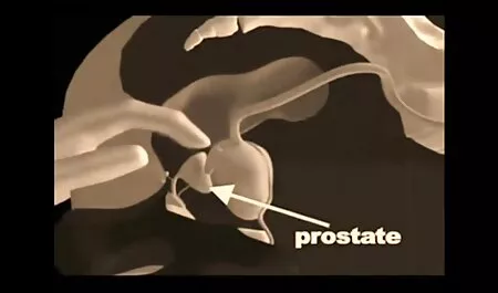 POV film con donne nude Rae lil nero studentessa che parla giapponese