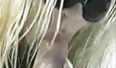 Vintage sesso fantasia anni donne nude film porno settanta