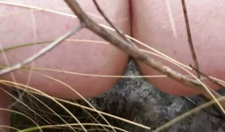 Le donne hanno bisogno di un massaggio donna nuda hard